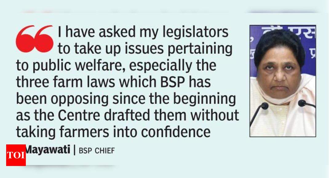 Won’t allow passage of farm laws in UP assembly session: Mayawati | Lucknow News - Times of India