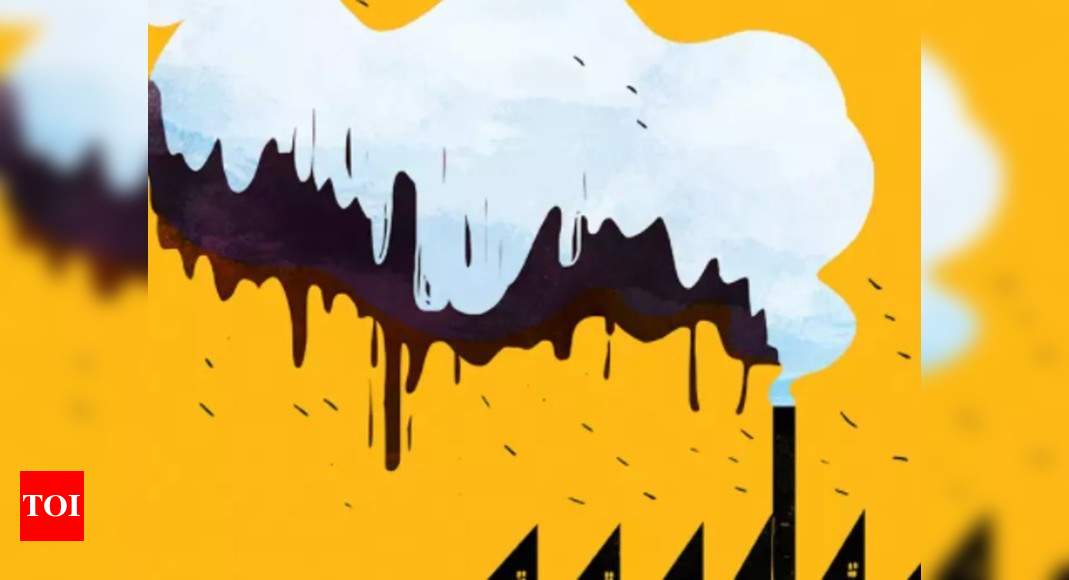 Pushed on net-zero goal, New Delhi set to hit back | India News - Times of India