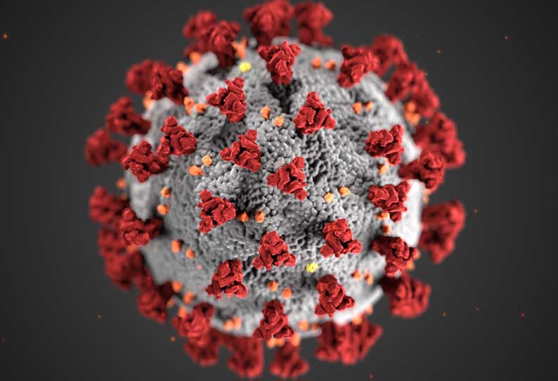 CORONA CASES SUDDENLY INCREASED IN KARNATAKA || கர்நாடகத்தில் புதிதாக 1,857 பேருக்கு கொரோனா