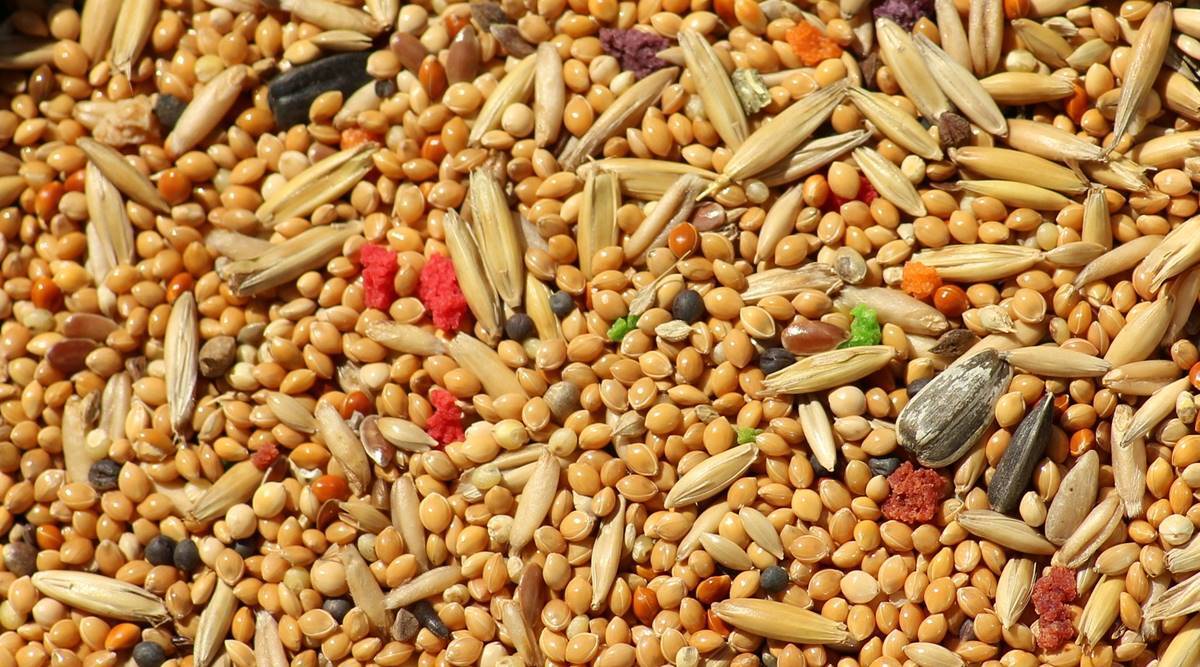 Nutritionist suggests simple ways to add fibre-rich foods to your diet | Lifestyle News,The Indian Express