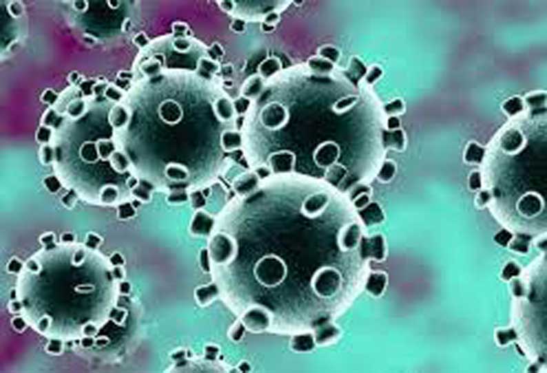 The old man died for Corona in Magi. || மாகியில் கொரோனாவுக்கு முதியவர் பலி