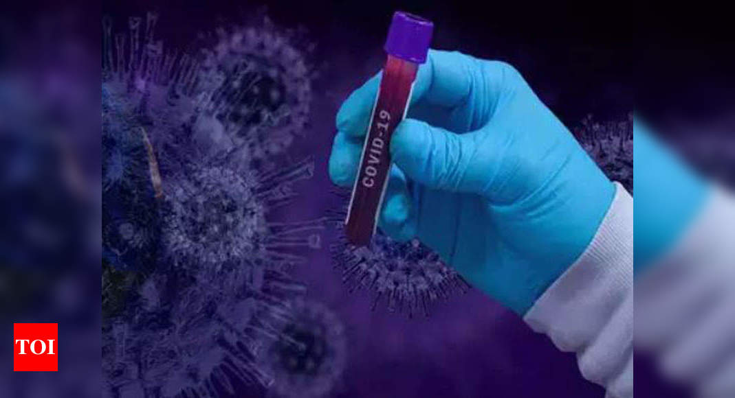 AP: East Godavari reports 304 Covid cases | Visakhapatnam News - Times of India