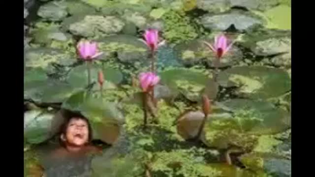 Tirange Ke Saaye Mere Ganv Chaliye - तिरंगे के साये मेरे गांव चलिए- Amar Ujala Hindi News Live