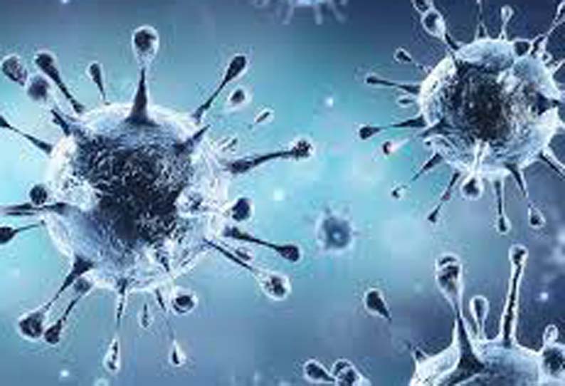 Corona for 223 newcomers in Coimbatore || கோவையில் புதிதாக 223 பேருக்கு கொரோனா