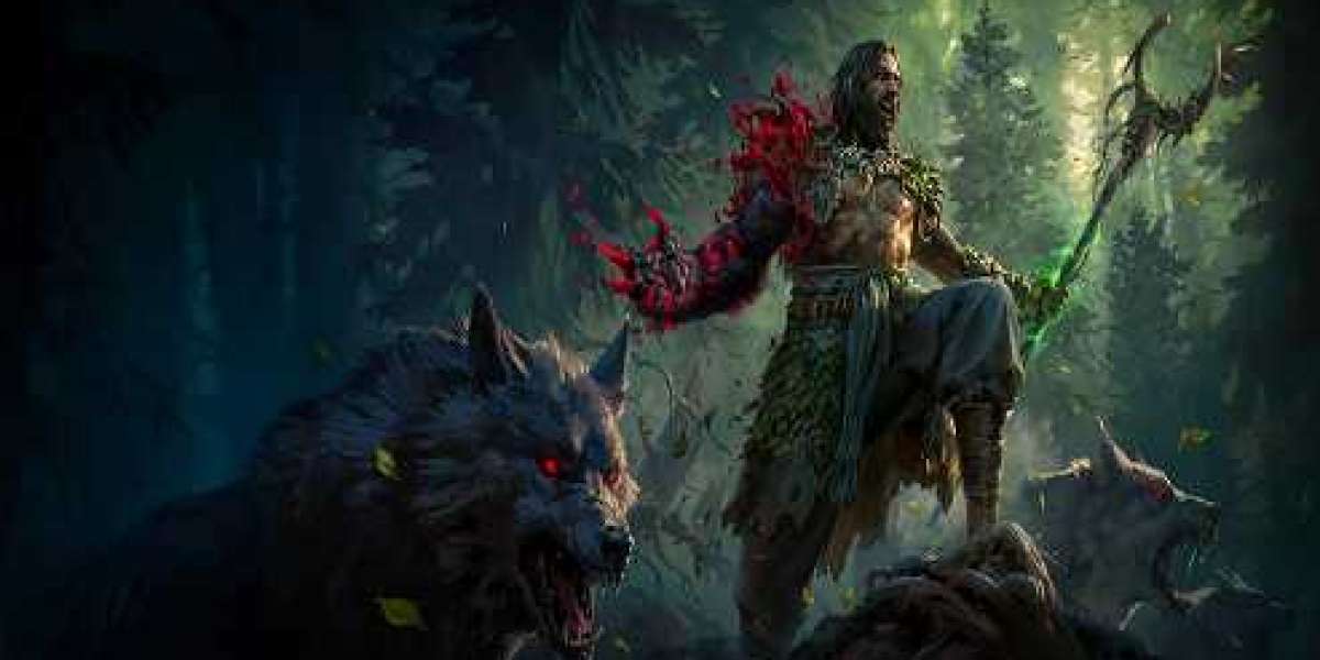 Path of Exile 2 0.5 Best Rare Items from U4GM