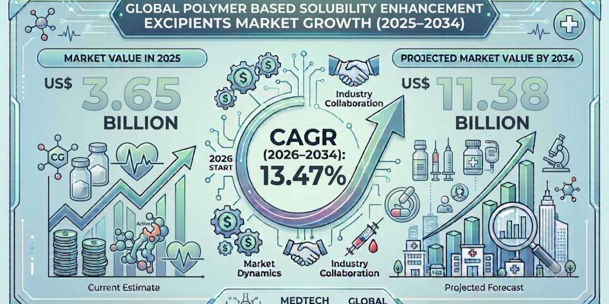 Opportunities for Manufacturers in the US Polymer Based Solubility Enhancement Excipients Industry