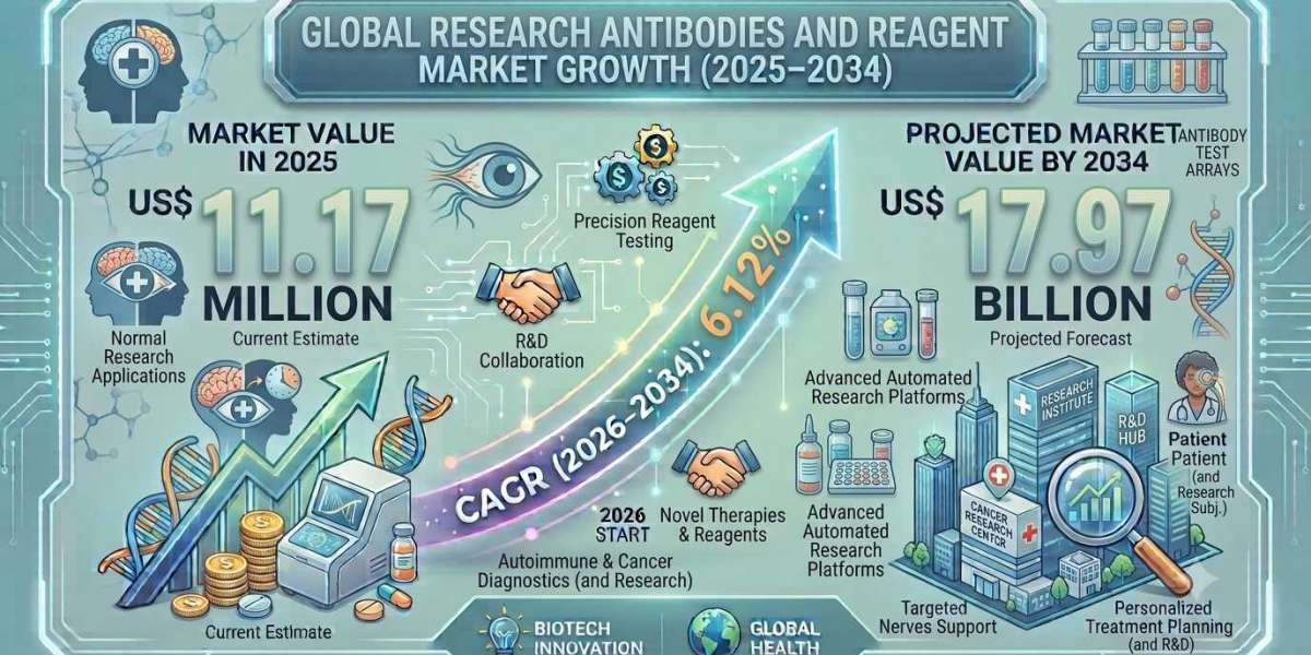 Research Antibodies and Reagents in the US: Key Applications Driving Demand Through 2034