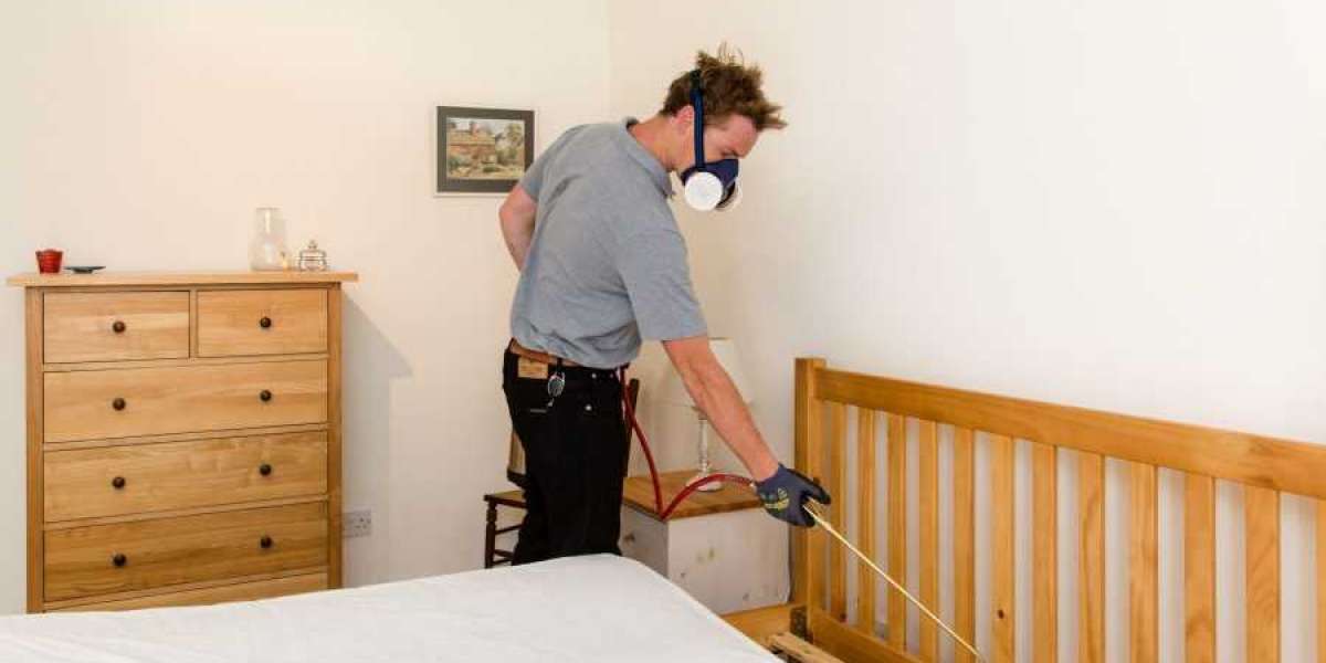 Essential Steps for Effective Bed Bug Prevention