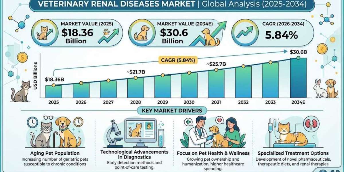 From Diagnosis to Treatment: Evolution of the Global Veterinary Renal Diseases Market