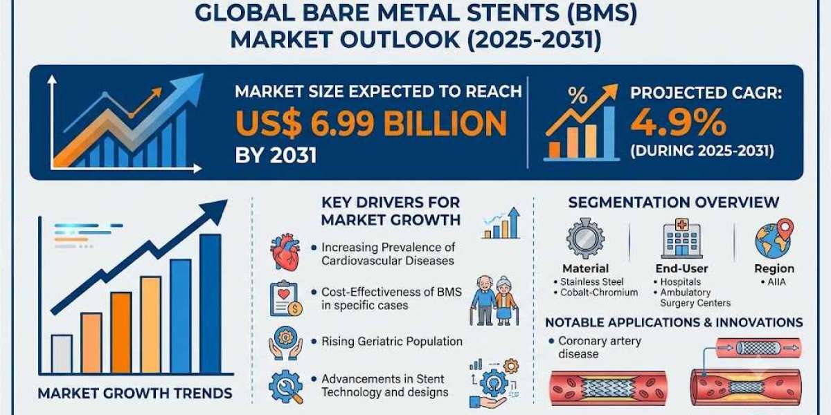 Bare Metal Stents Market Trends Shaping Growth Across Global Healthcare Systems