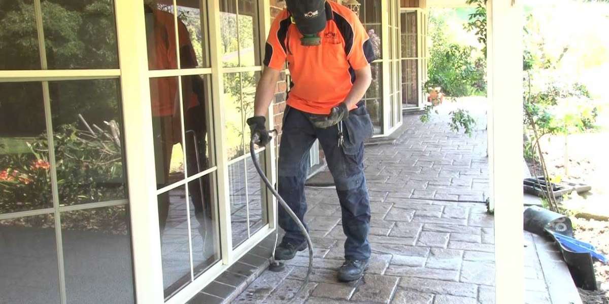 Understanding Effective Termite Protection for Properties