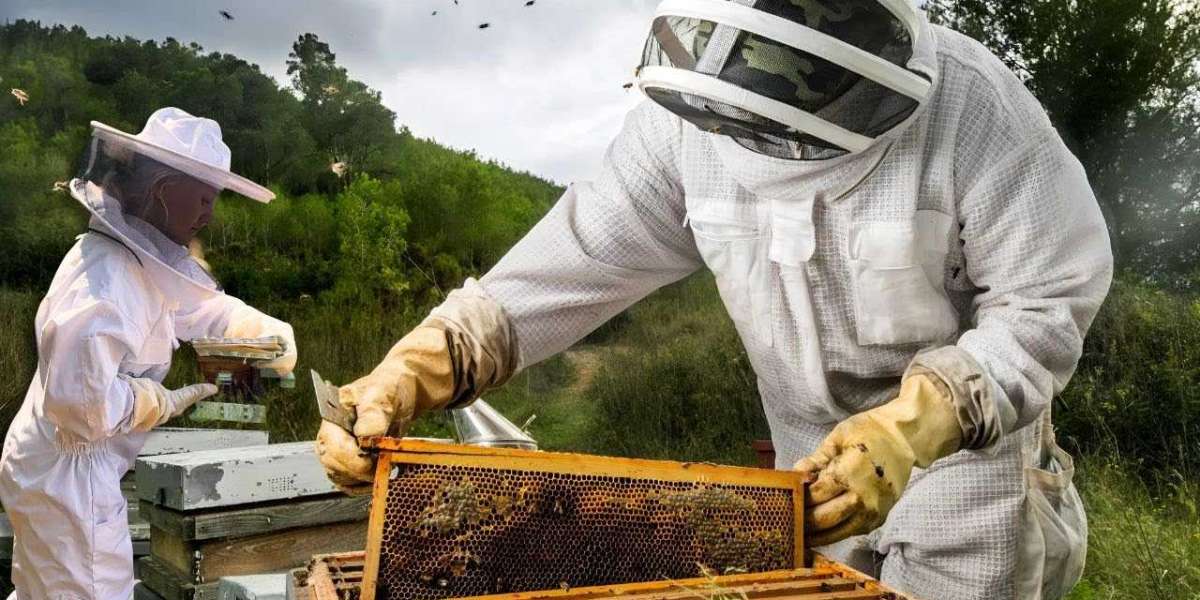 Essential Considerations for Safe Bee Relocation