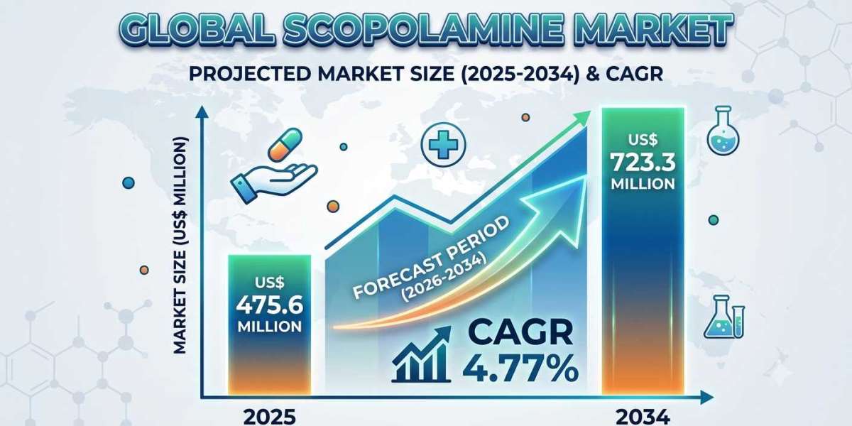 The Impact of Growing Travel and Tourism on Scopolamine Demand