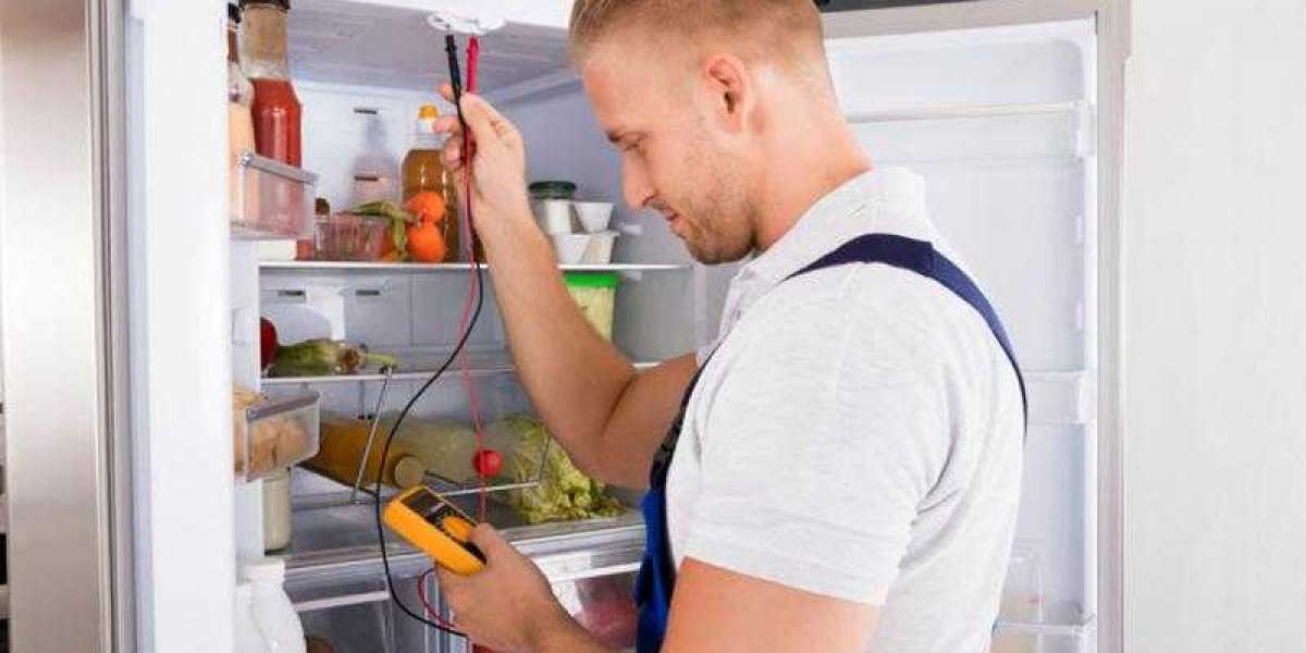 Essential Tips for Maintaining a Reliable Freezer System