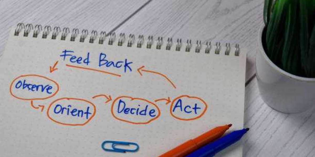 The Role of Feedback Loops in Essay Writing Success