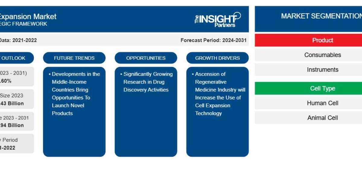Cell Therapy and Drug Discovery Fueling US$ 67.94 Billion Opportunities in the Cell Expansion Market
