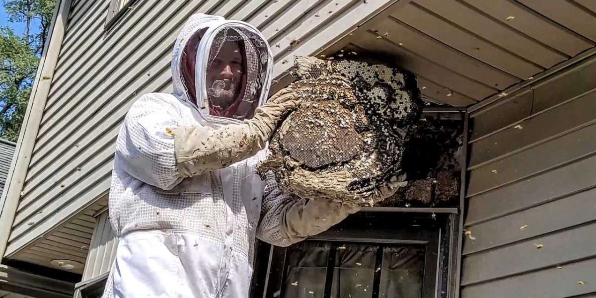 Important Considerations for Safe Stinging Insect Removal