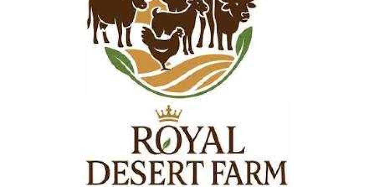Fresh Lamb Shanks: Enjoy Premium Quality and Delicious Slow-Cooked Meals at Royal Desert Farm